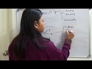 CELL JUNCTIONS PARTII ANCHORING JUNCTIONS