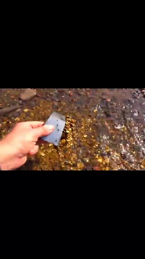 Gold Nugget Discovery in Rocky Stream