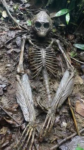 Ancient Humanoid Skeleton With Webbed Hands Found Beneath Amazon Jungle