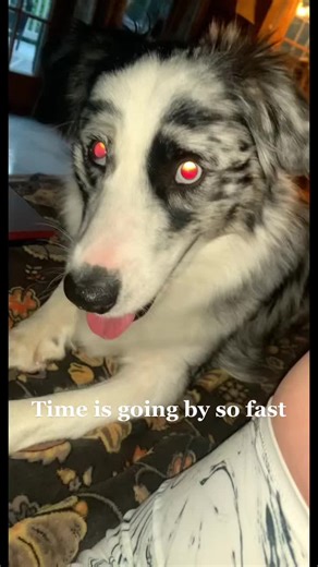 emilygjenkins on TikTok