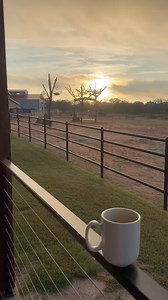 A reset and a cause for celebration #drlisacooney #liveyourroar #onedegreeshift #soultherapy #creationstation #drlisa #healwithdrlisa #healing #spiritualjourney #selfdiscovery | Dr. Lisa Cooney