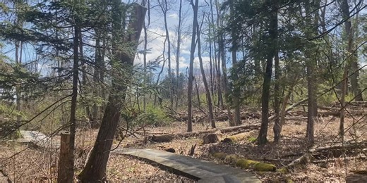 Waterman Conservation Center honors 55th Earth Day