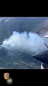 🔥🌲 Forest health in action! Thanks to a $5 million CAL FIRE Forest Health Grant awarded in 2022, Pacific Union College Forest is seeing real progress in wildfire resilience. Last week, a 28 acre prescribed burn—led by Napa-Solano and Yolo Prescribed Burn Associations, Napa Communities Firewise Foundation, Napa RCD, Pacific Union College and Napa County Fire Department—marked a major milestone in fuel reduction efforts. CAL FIRE LNU is proud to support this vital work protecting our forest and 