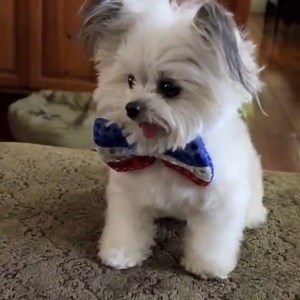 22K views · 651 reactions | SquadGoals on Reels | Facebook