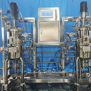 [Hot Item] Innovative Design Bioreactor System Fermenter Tank for Enhanced Performance