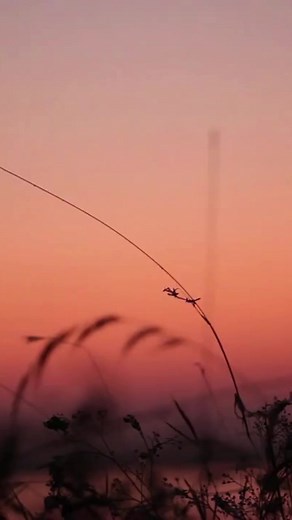 2.1K views · 19 reactions | Morning Inspiration... #plusmodelmag | Plus Model Magazine | Facebook