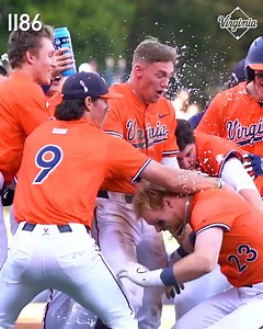 𝙋𝙤𝙨𝙩𝙨𝙚𝙖𝙨𝙤𝙣 𝙗𝙖𝙨𝙚𝙗𝙖𝙡𝙡 𝙖𝙩 𝙏𝙝𝙚 𝘿𝙞𝙨𝙝, 𝙣𝙤𝙩𝙝𝙞𝙣𝙜 𝙗𝙚𝙩𝙩𝙚𝙧 #GoHoos | Virginia Baseball