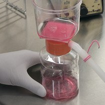 Video: Development of a Hepatitis B Virus Reporter System to Monitor the Early Stages of the Replication Cycle