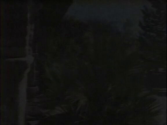 Ginger's Sex Asylum (1985)
