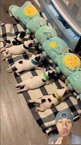 5 DOGS ARE DRINKING MILK😨😂