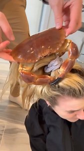 4.8K views · 75 reactions | when your best friend is a crab 呂 Part 3 | Brony Fan Lovers | Facebook