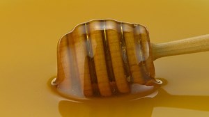 **NEW FLAVOR ALERT** Get ready to turn up the heat on your beverage and culinary creations with Monin Hot Honey Syrup! Visit flavoroftheyear.com to learn more. | MONIN