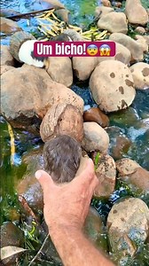 A creature in the river 😱😨