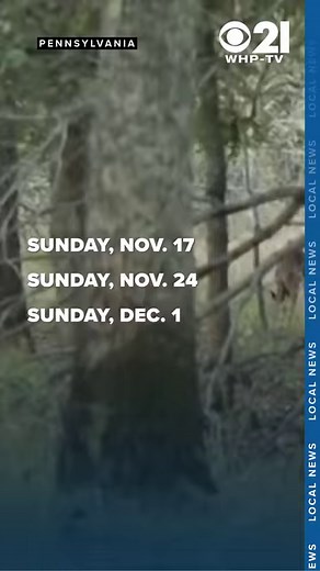 Sunday hunting dates for 2024 season released by PA Game Commission READ MORE: https://bit.ly/4dG2BJc #hunting #pa #hunters #game #localnews #news #fall #season #seasonal #gamecommission #schedule #sunday #dates #deer #deerhunting | Local 21 CBS News, WHP Harrisburg