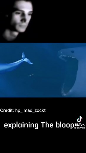 Esiste un Animale Gigantesco? Analisi Biologica e Meme Talasofobia