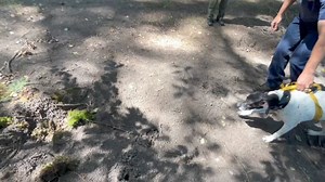 19K views | Clackamas Fire on Reels | Facebook