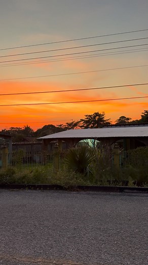 2.4K views · 87 reactions | Ame | Moguel Lopez Luis | Facebook