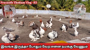 விவசாய நண்பன் - Vivasaya Nanban on Reels