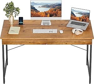 FEZIBO Computer Desk with 2 Storage Drawers, 55 inches with Gap Design for Home Office Large Writing Desk, Makeup Vanity Table, Fir