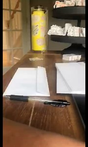 Swaygirls Sticker | Be a Nice Human Sticker | Because Nice Matters Sticker | Be Kind Sticker