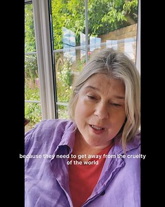 7.3K views · 207 reactions | Ravenous Butterflies on Reels | Facebook