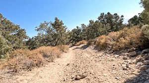 UTV Action Magazine on Reels | Facebook