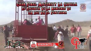 Salvador Veloz Horse Racing & Sports on Reels