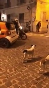 Go slowly! | Advanced Cash