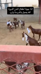 😂😂😂😂 #goats #goatlovers #goatlife #breedingseason #goatbehavior #farmanimals #farmlife #farmtok #countrylife #ranchlife #animallovers #animalvideos #naturelovers #viralvideo #viralanimal #trendingvideo #fyp #foryoupage #reelsviral #usa #uk #canada #germany #france #netherlands #sweden #norway #europe #australia #dailygoats #animalsworldwide | عالم الحيوانات