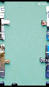 #geamagazine #deboerop #succesverhalen #melkvee #happycows #happygoats #robotmelken #geateam #arbeidsverlichting | GEA Farming - Belgium | Facebook