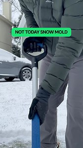 69K views · 18 reactions | Not everyone shovels snow *off* their lawn. Sign up for TruGreen and let the pros help your lawn recover from winter damage. | TruGreen | Facebook