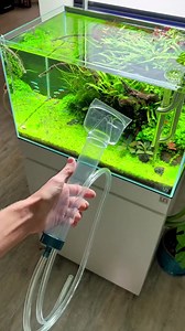 Aqua vacum #aquascape #plantedtank #aquarium #plantsoftiktok #tiktok #plants #fyp #garden #fypシ #ecosystem #fishtank #oase #oddlysatisfying #satisfying | Aquarium Design
