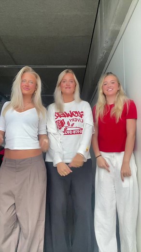 Bgi Rammer Brobygning i Skandinavien