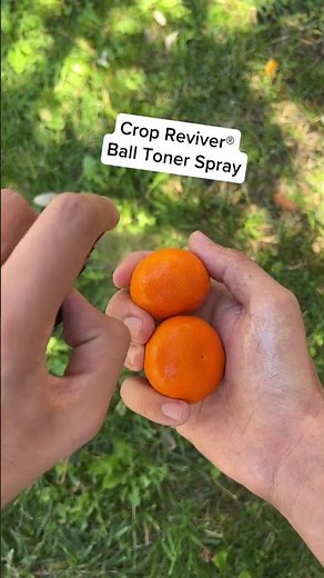 MANSCAPED™ Summer Swamp Crotch