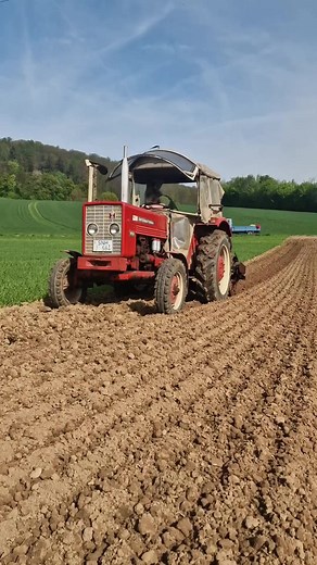IHC 353 with Hassia potato planting machine 2-rower 🥔 🥔 potatoes #bigtractorpower #landwirtschaft #tracteur #agriculture #agro #tractor #farmequipment #farming | Agrar Vibes