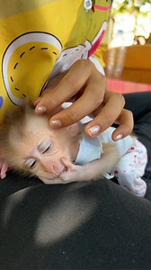 Jonny Monkey on Reels