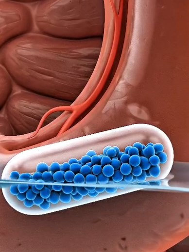 How Medicine Works Inside the Stomach (3D Animation)
