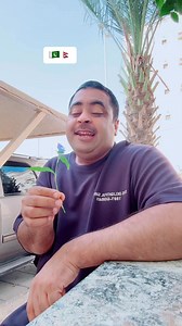 25K views · 2K reactions | Lucky kabooter #sunjaydutt #bollywood #song #sudhirbrohi | Sudheer Brohi | Facebook