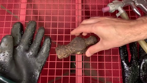 Hammer transformation journey