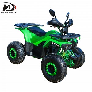 [Hot Item] Custom Adult 4X4 off-Road ATV 2X4 125cc Buggy