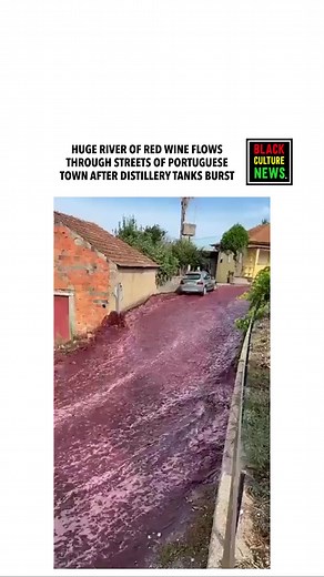 13K views · 190 reactions | !!!!!! #wine #winelover #winetasting | Black Culture News | Facebook