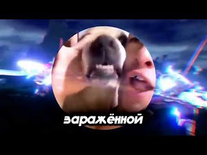 BEST FREE GENSHIN 6.4 IMPACT SHIKA CHEAT / GENSHIN CHEATS