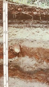 Andisol - Alchetron, The Free Social Encyclopedia