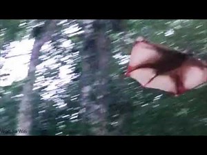 Colugo (Flying Lemur) in action by Jia Wei Woo