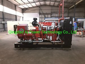 [Hot Item] Russian Bitcoin Mining 240kw 300kVA CNG Natural Gas Generator Set