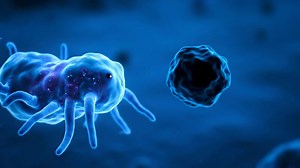 Download Close Look at Bacterium Floating in Liquid During Scientific Examination for free