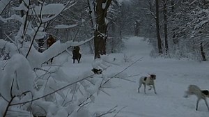 Castle.Keep.1969.DVDRip.Rus-Eng