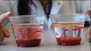 Oil Spill Clean Up Simulation | NISE Network