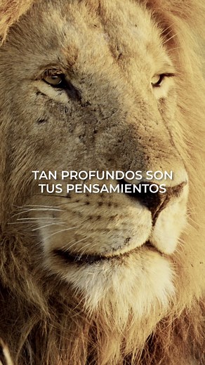 “Indomable” de Jesus Adrian Romero #vastagomusic #jesusadrianromero #indomable #musicacristiana | Vastago Producciones