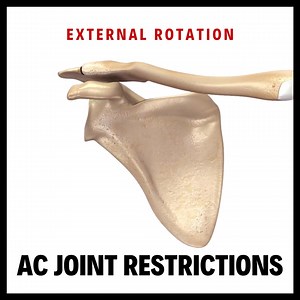 External Rotation - AC Joint Restrictions The three most common AC joint restrictions are internal rotation, external rotation, and abduction. In this video demonstration, Erik shows you how to assess and correct AC joint restrictions related to external rotation. Want the details? Follow the link in the bio to “Blog” or visit erikdalton.com/blog and read “I’m Blaming it on the AC joint!” for step-by-step directions. #acjoint #assessacjoint #freetheacjoint #erikdalton #daltonmyoskeletal #massage